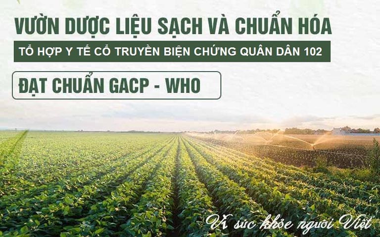 Quân dân 102 cam kết sử dụng dược liệu sạch 100% vì sức khỏe người Việt