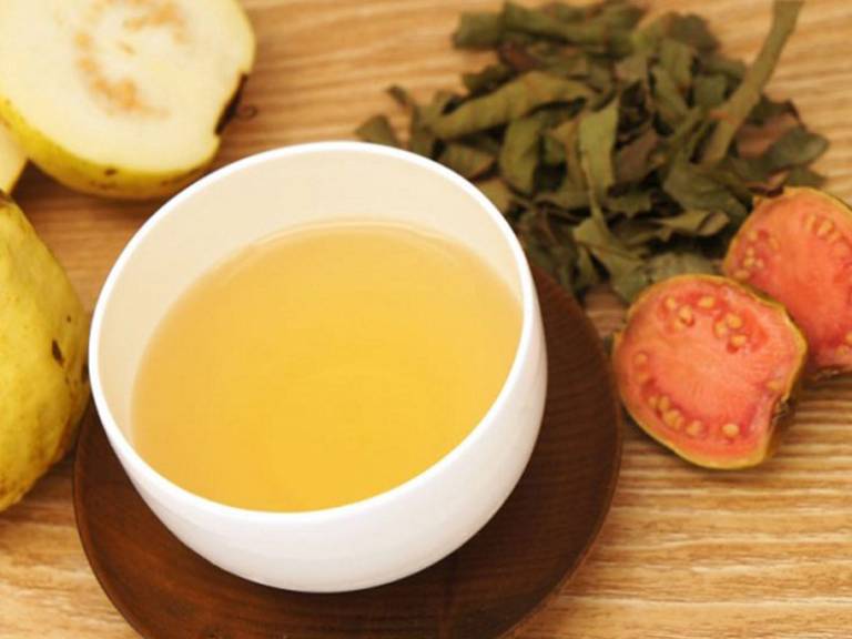 Dùng trà lá ổi chữa bệnh chàm đơn giản và hiệu quả