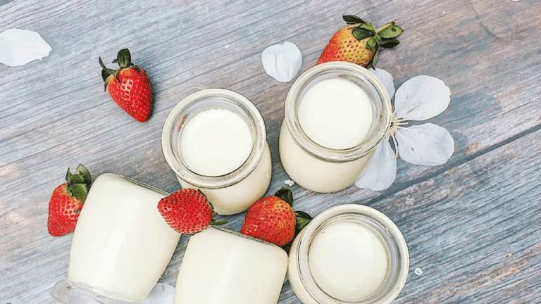 Người bị đau dạ dày có nên bổ sung sữa chua vào trong thực đơn ăn uống hàng ngày?