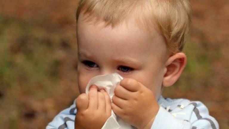 Viêm mũi dị ứng ở trẻ sơ sinh: Nhận biết, chăm sóc và điều trị